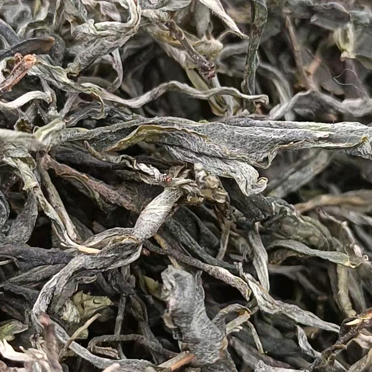 忙肺家有好茶