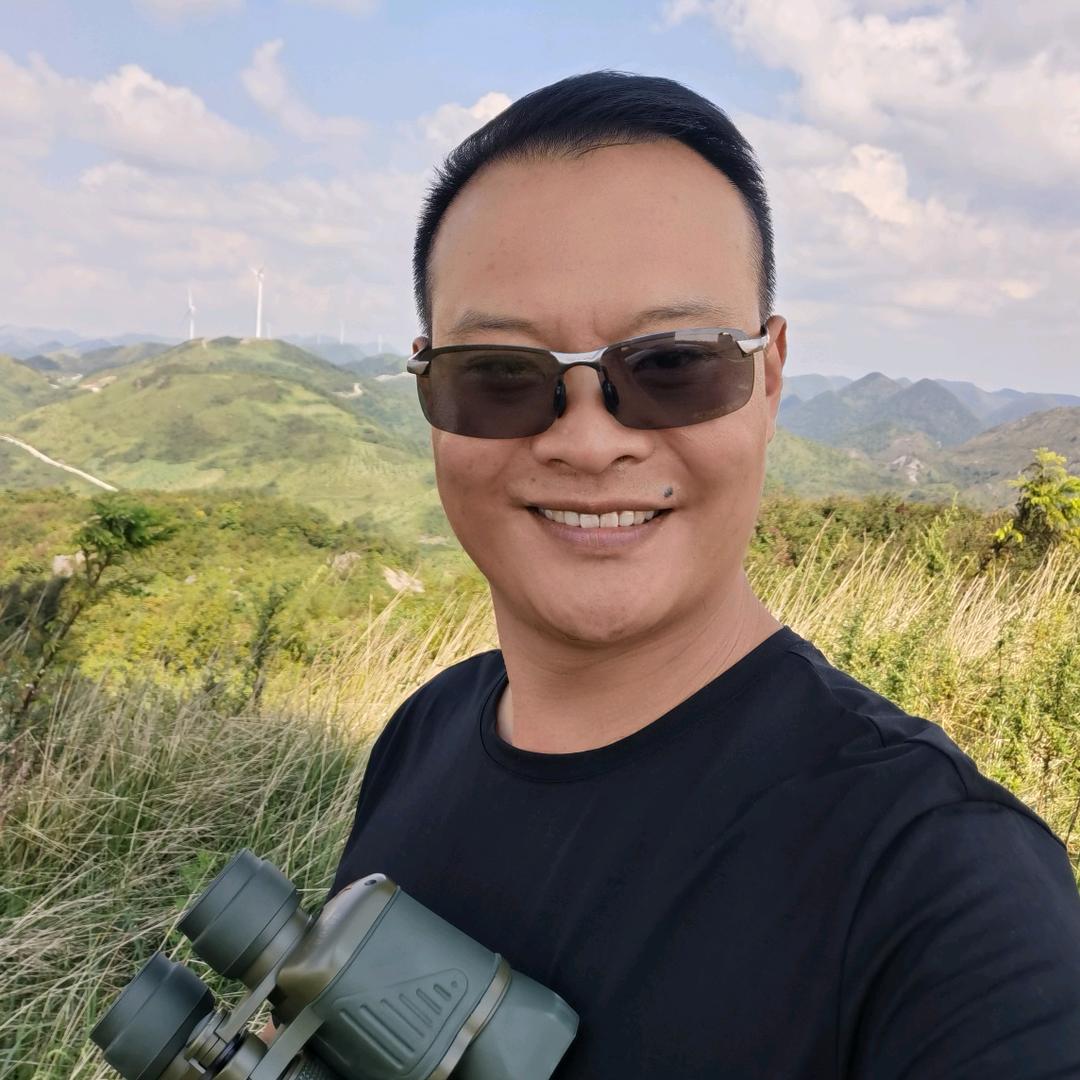 顾的