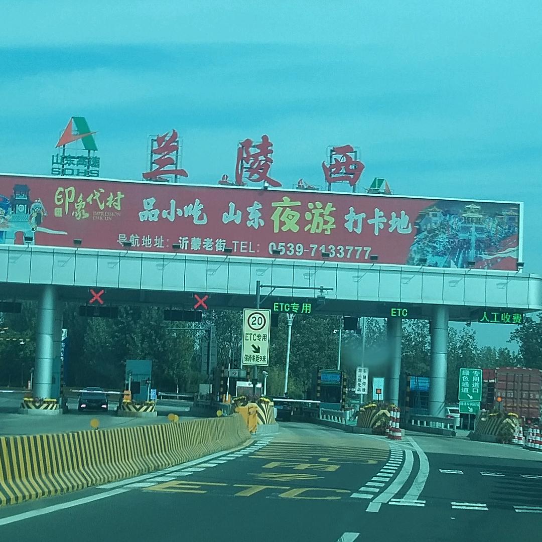 草原上的骏马