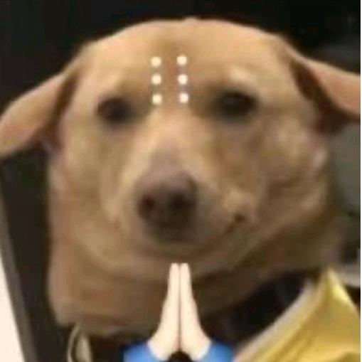 。。。。。。。