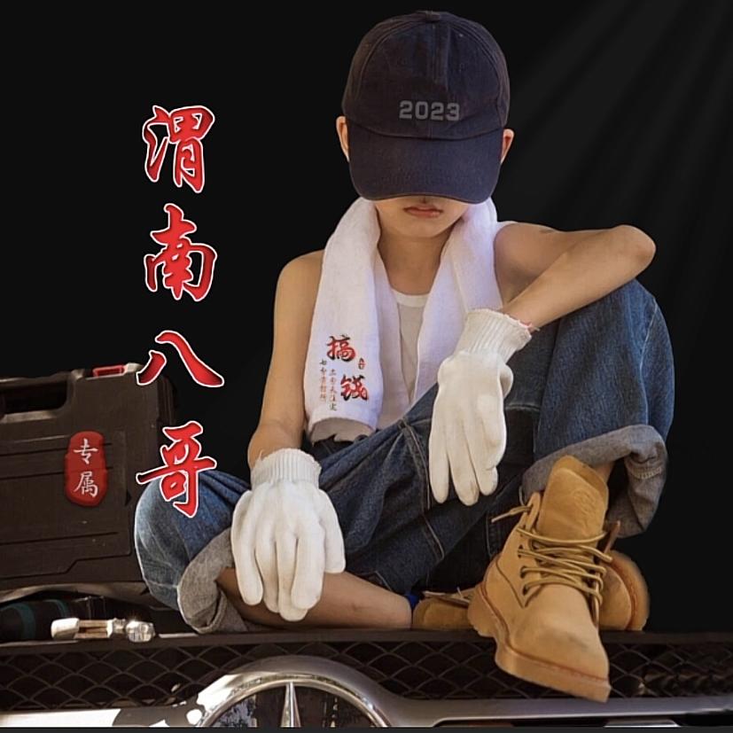 陕西渭南伤感歌手（八哥）