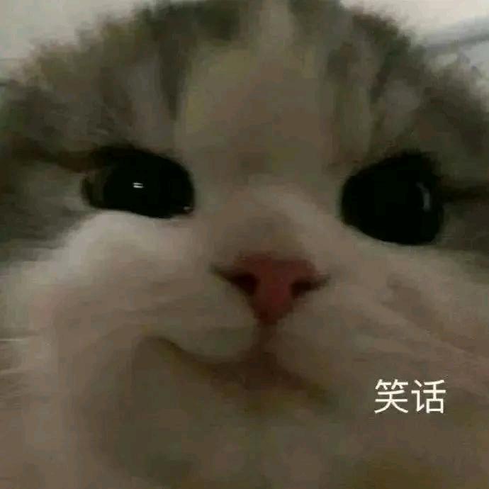 王者荣耀亦言