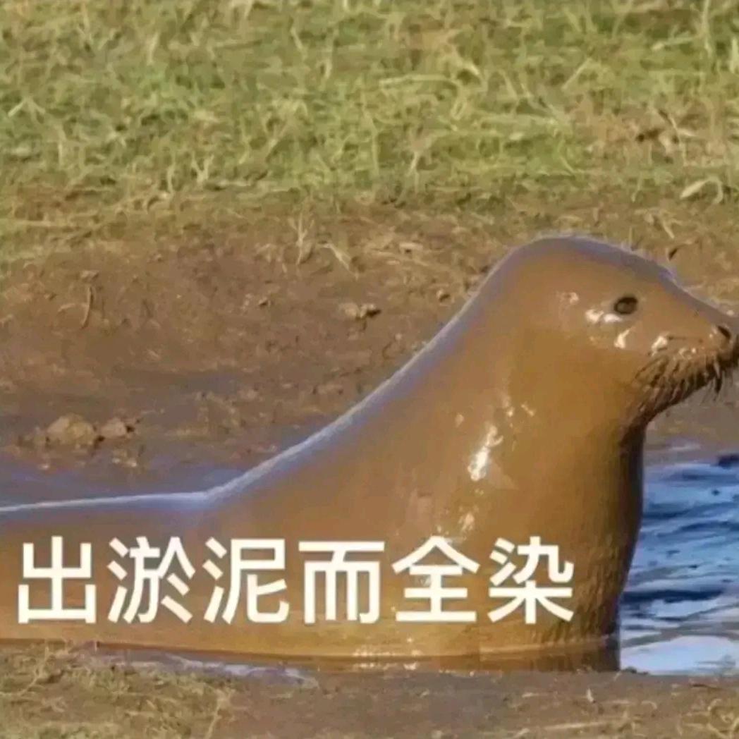 噼里啪啦