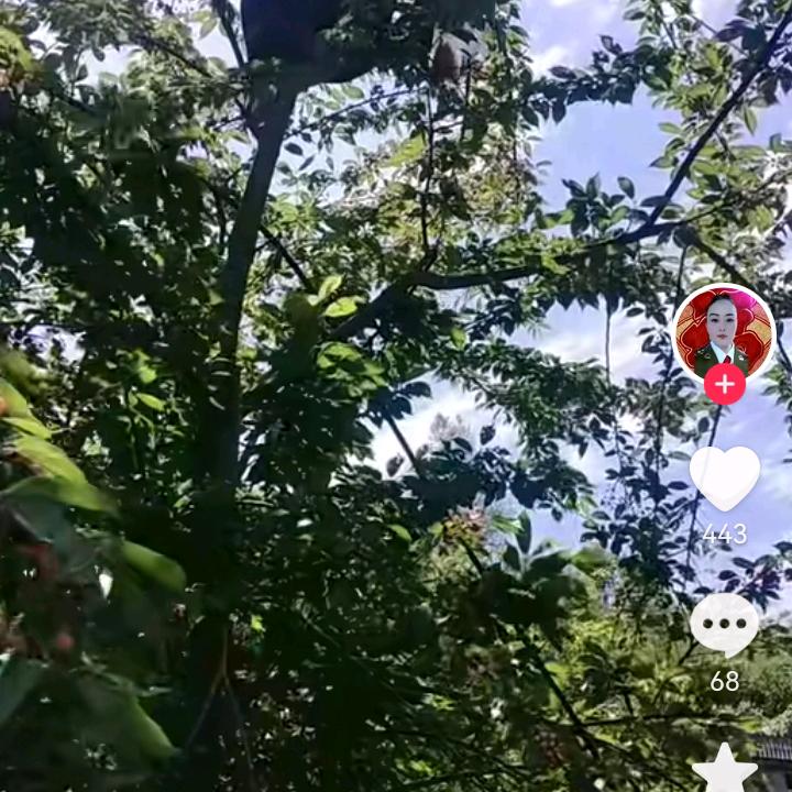 杨姐