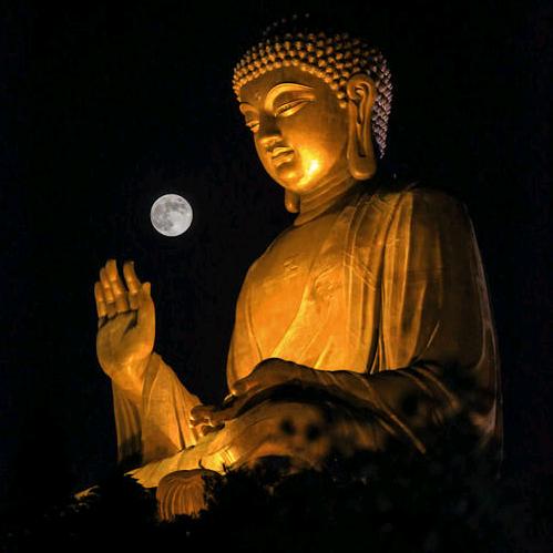 满佛王，一花一世界，一佛一如来