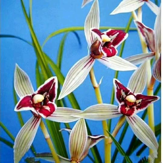 江苏开心快乐🍎🍏🍒🍐🍇🍍💐