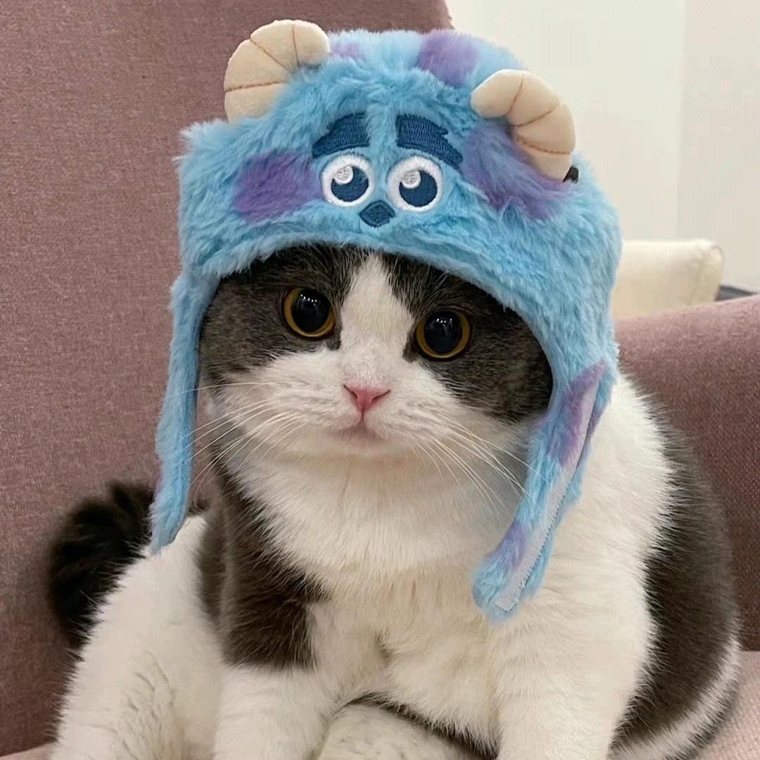 橙子闻