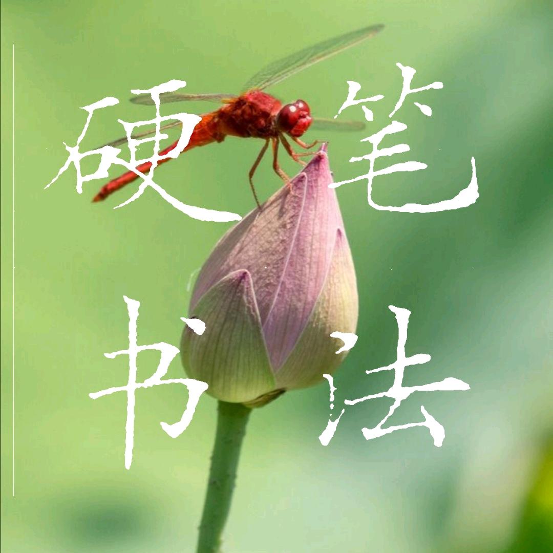 🌈尖椒不辣🌈
