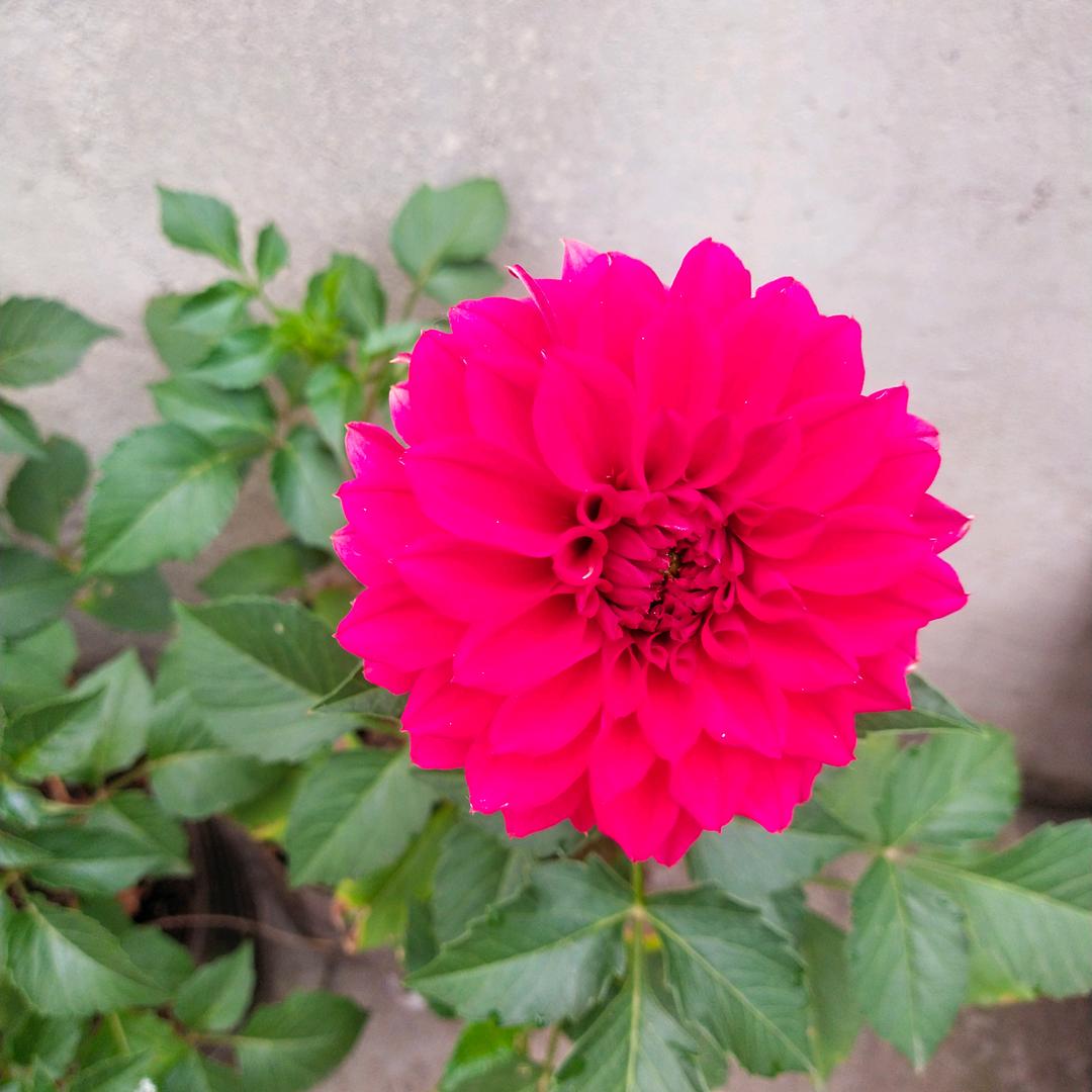 @放飞自我
