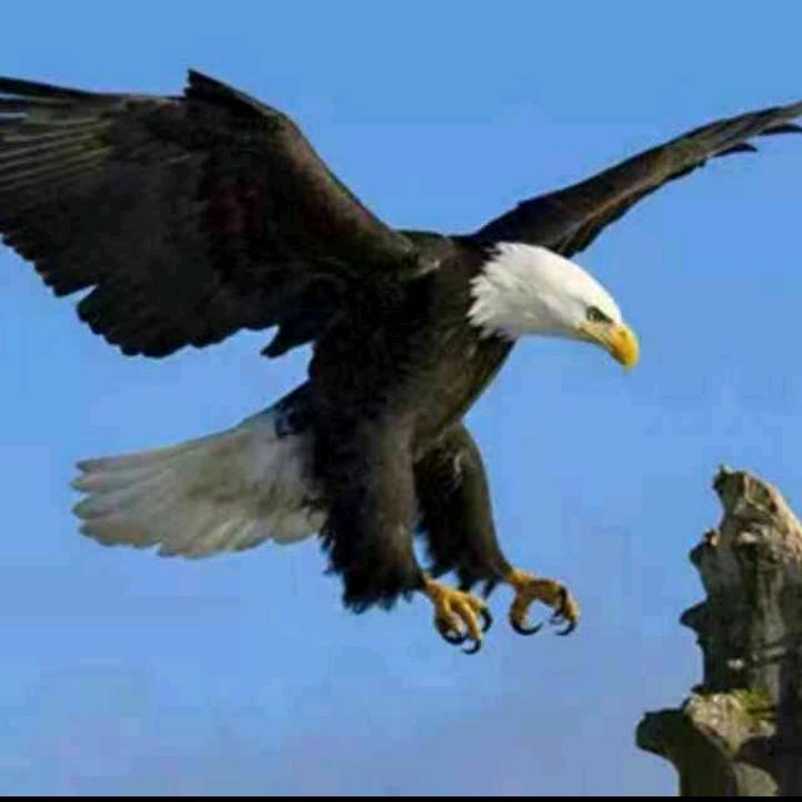 🌅美好人生❤️