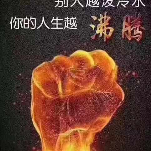 晨雨