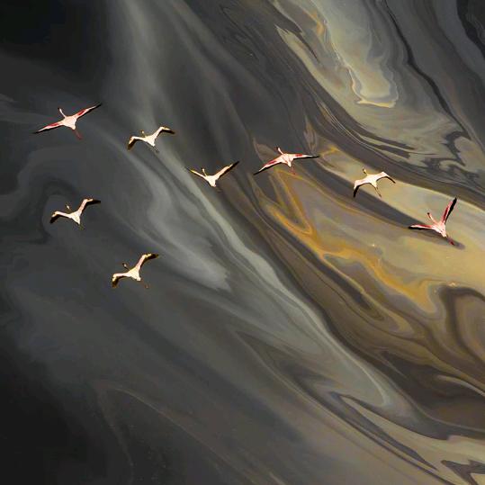 😘😘😘欢欢乐乐