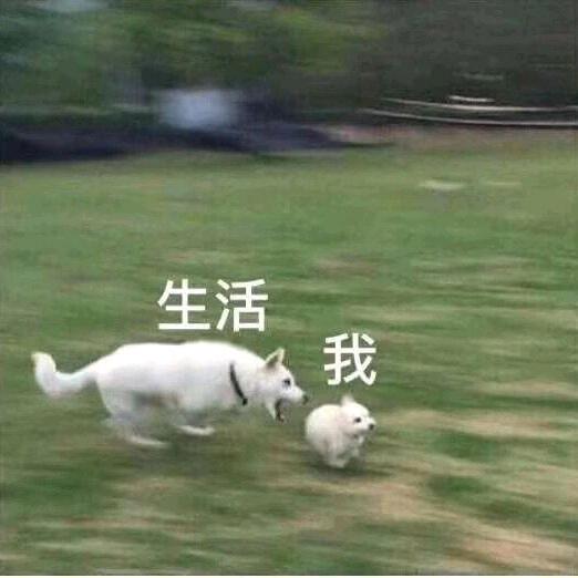 顾北淸歌寒