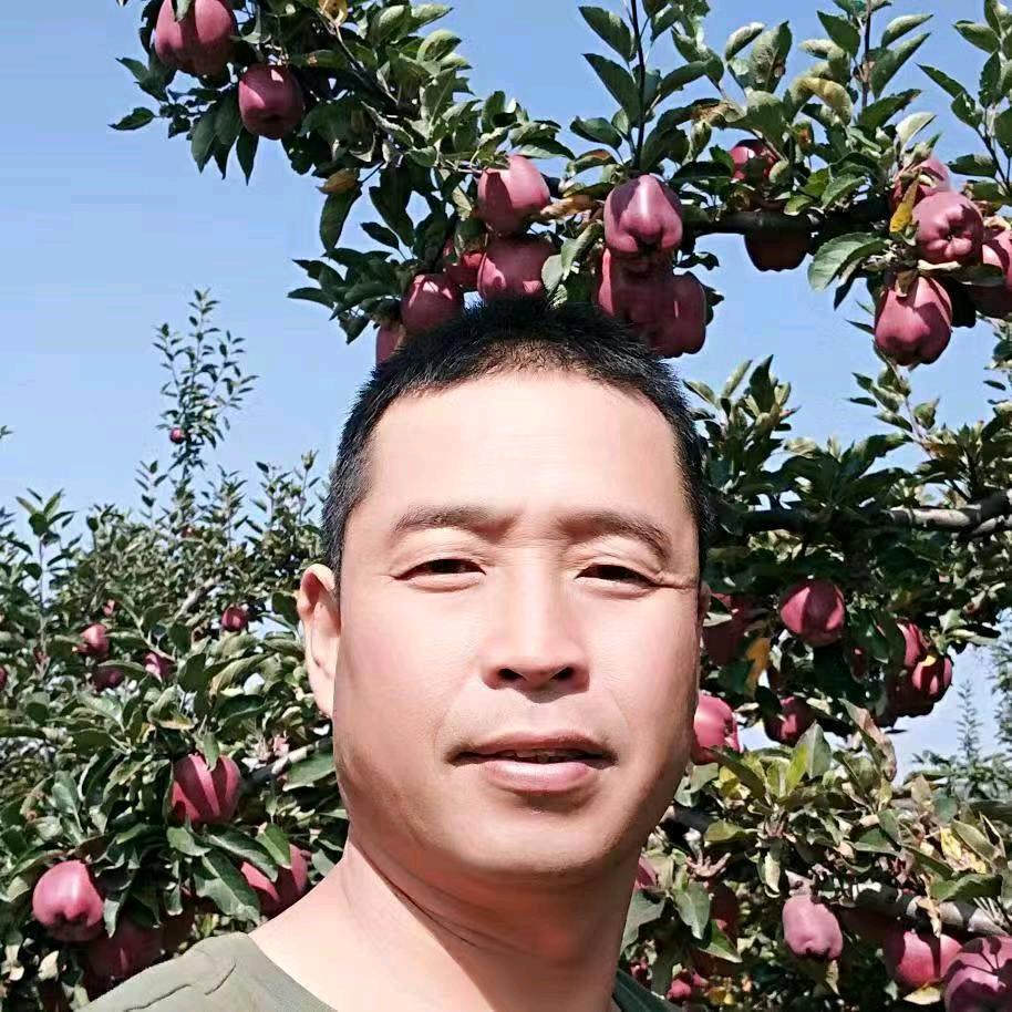 花牛哥（全国代发花牛苹果）