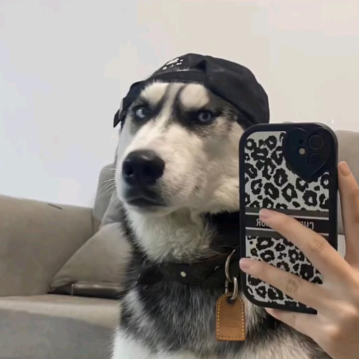 哎呦