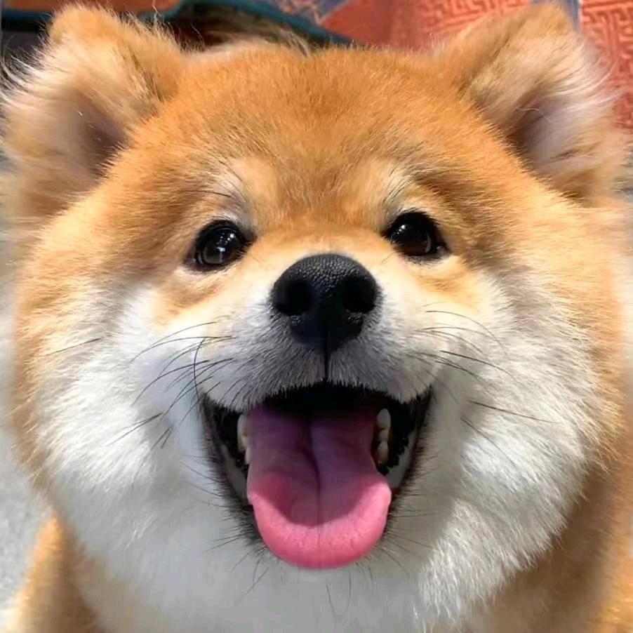 非常可乐