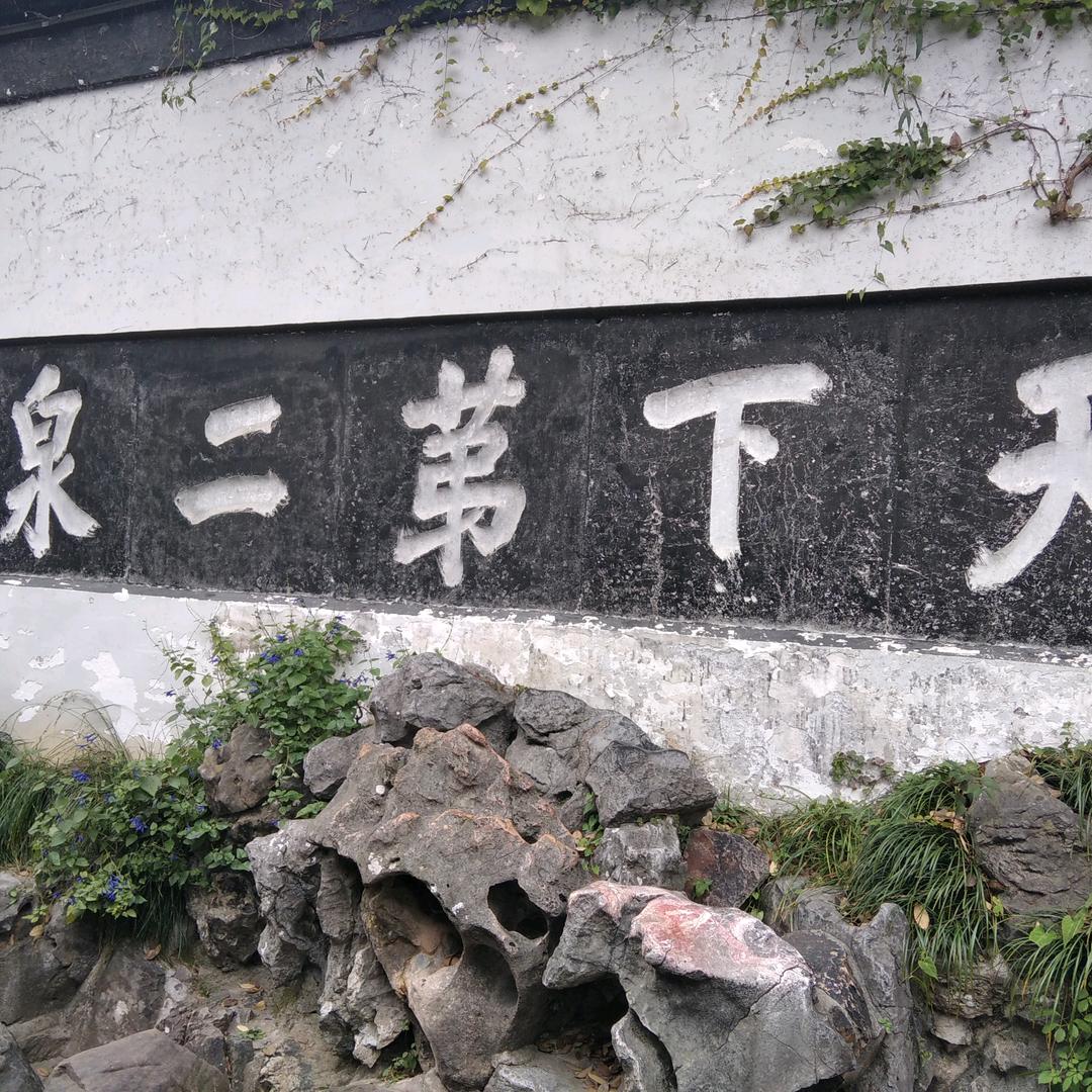 视度