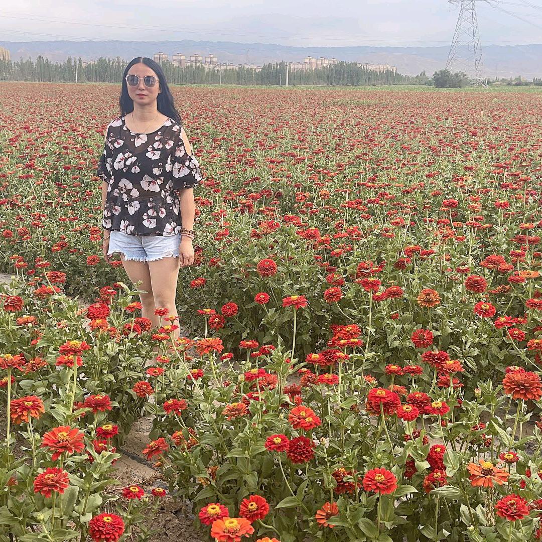 美人鱼（拒私聊）。．