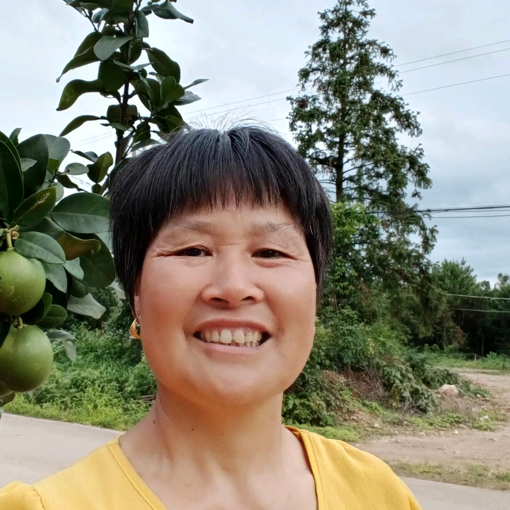 戴家小姑
