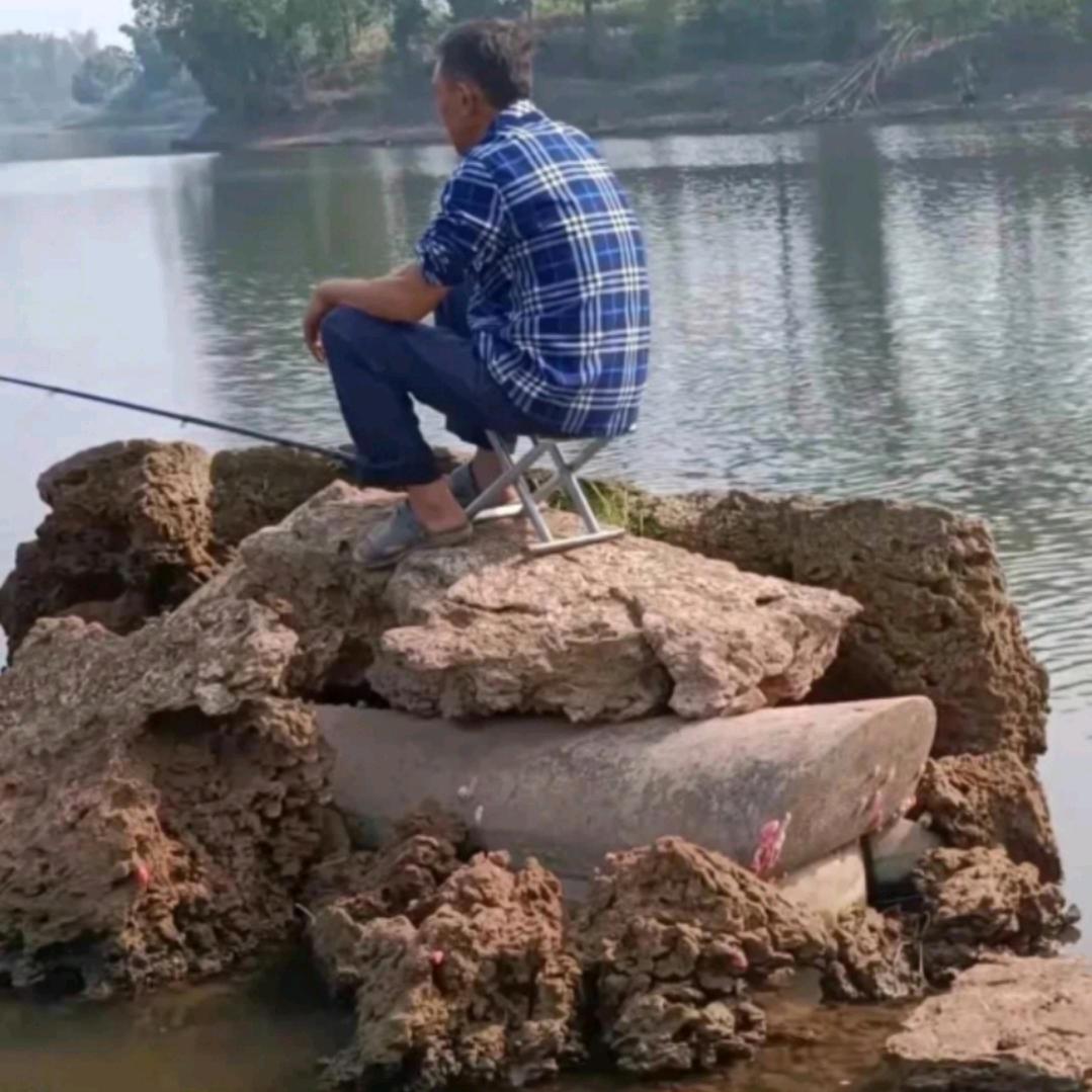 攀枝花北街的驴.