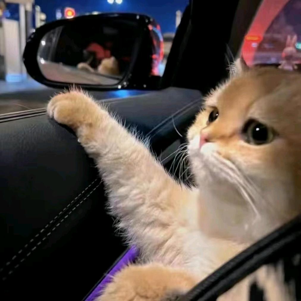 ♓我是谁♒