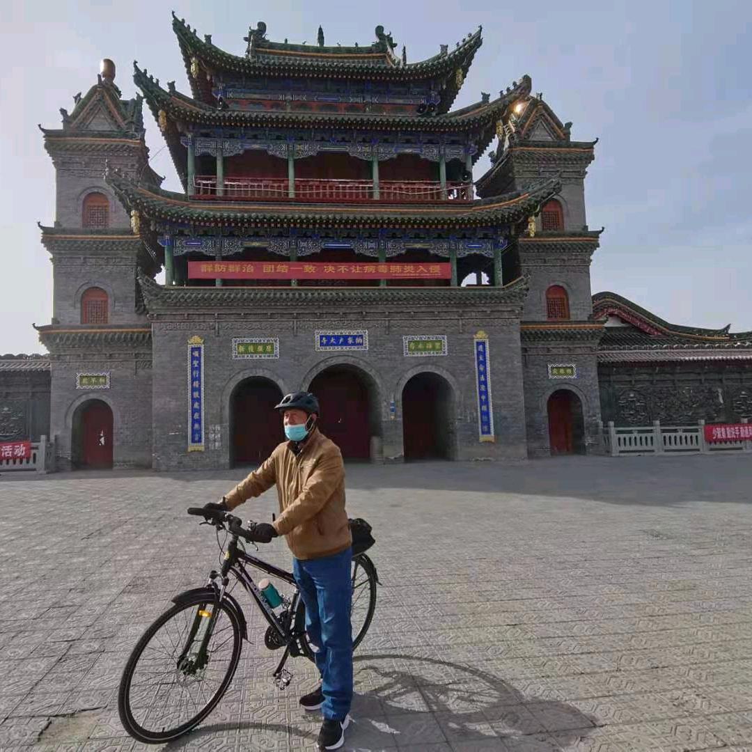 金凤老马