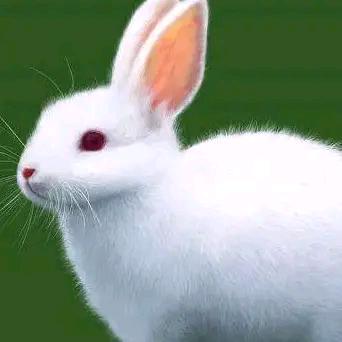 回忆