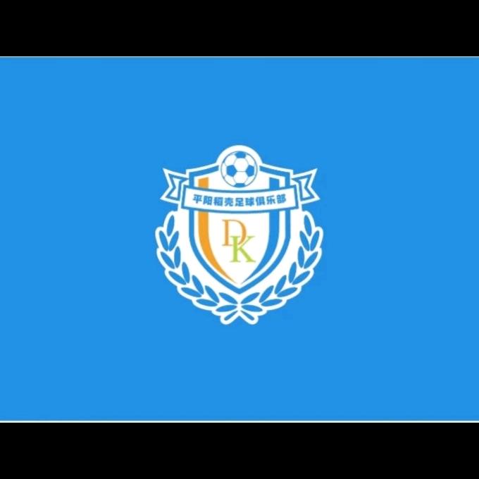 平阳县稻壳青训