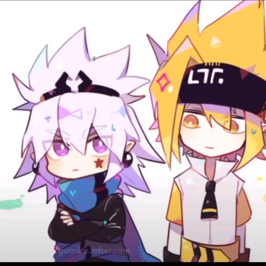 金宝宝