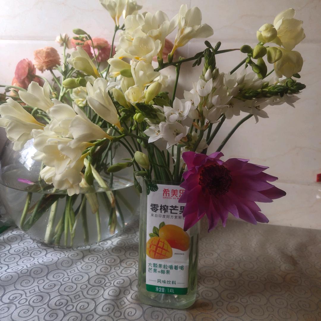 花鲜城花卉（昆明斗南基地直发）
