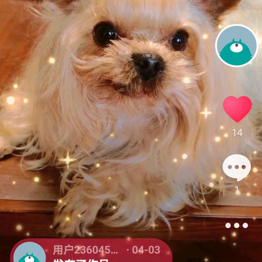 用户236045683828好人一生平安