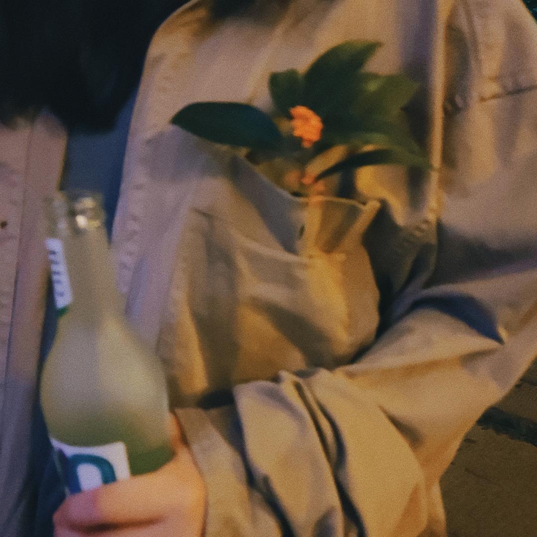 一枝楠楠仔