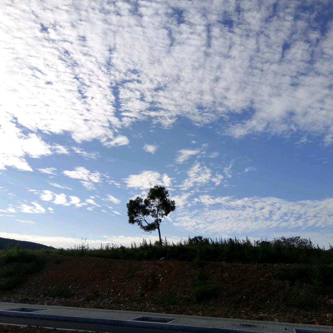 不同凡响