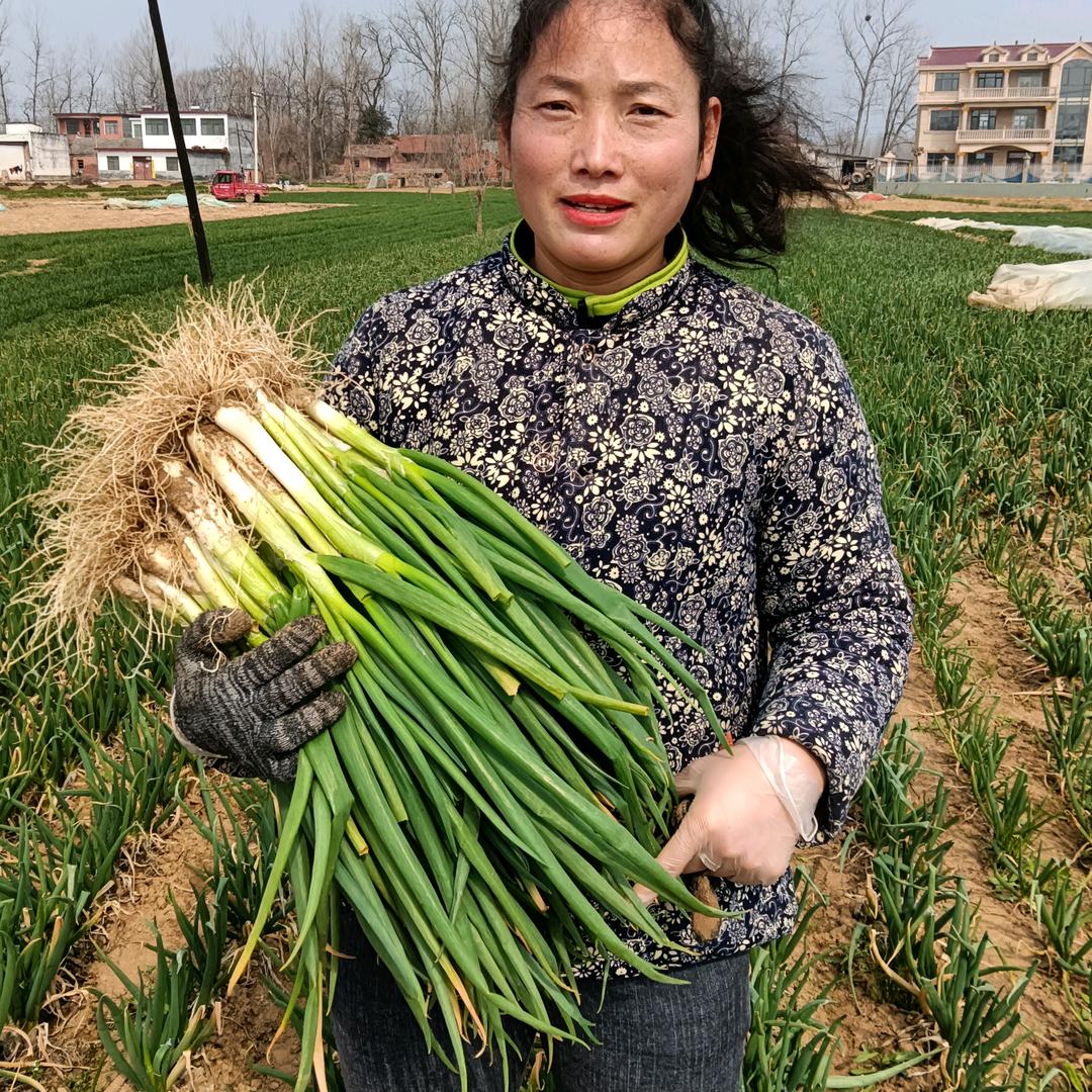 分葱艳姐🌹❤️💖