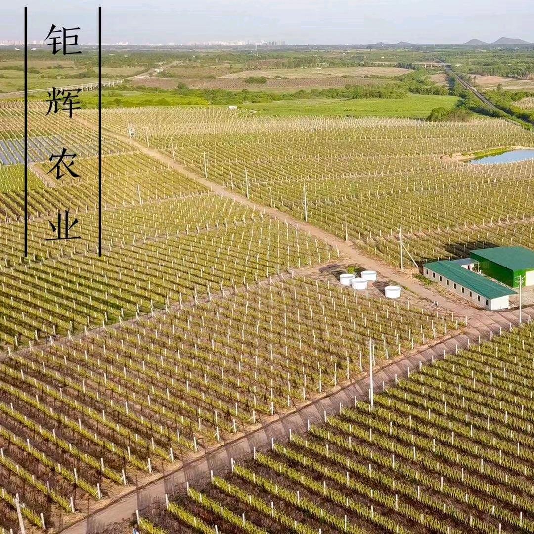 芳华待灼   砥砺深耕