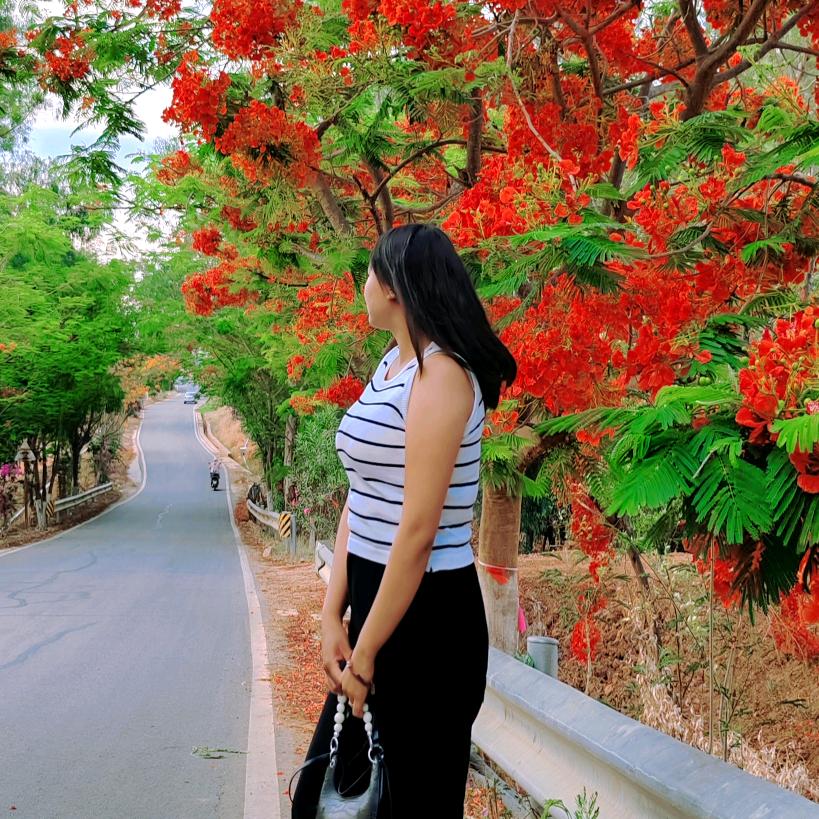 元谋县元马米奇蛋糕店