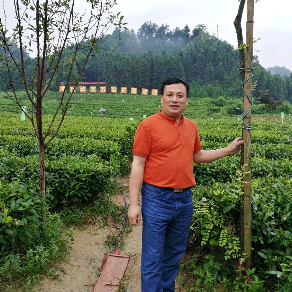 文忠炸鸡王