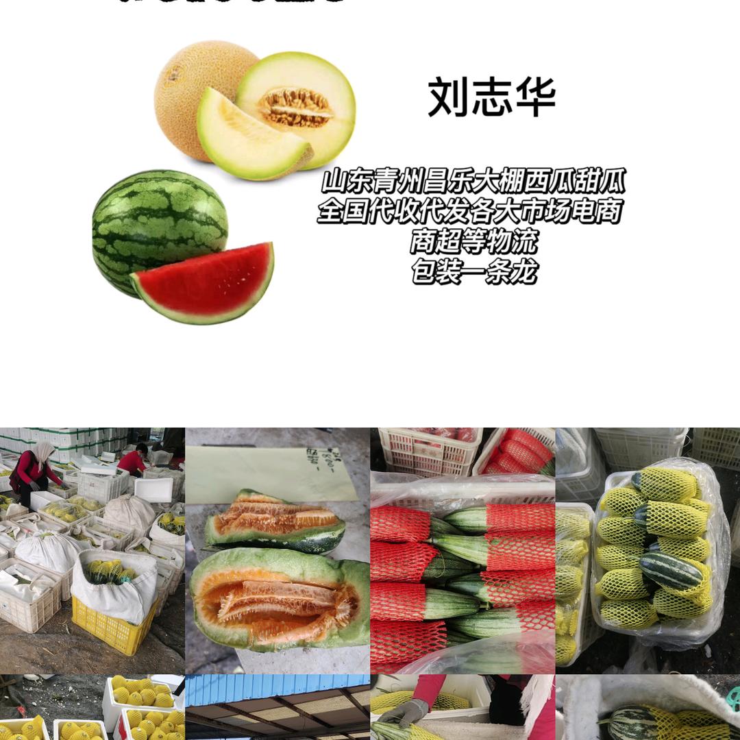 青州西瓜甜瓜代收代发