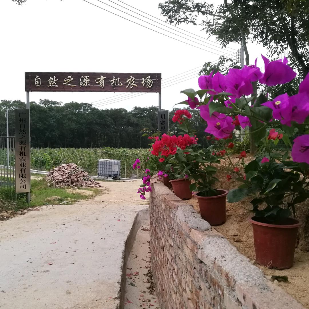 胡哥的有机生活