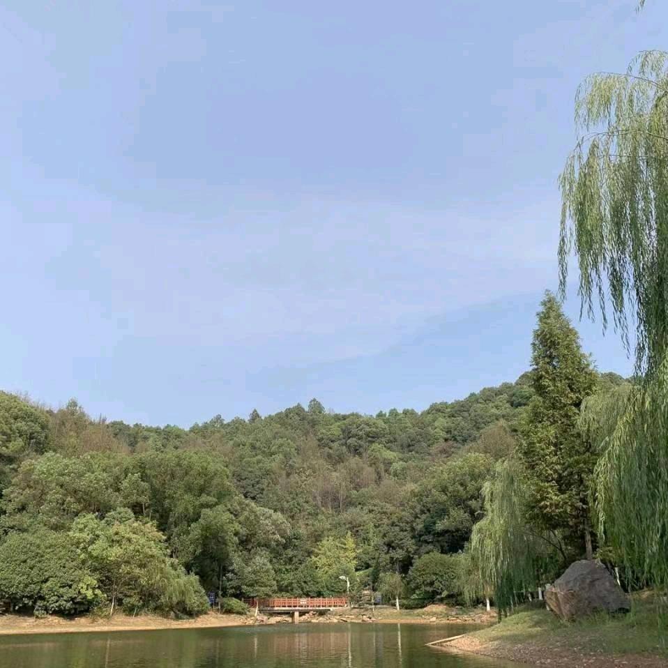君子好球