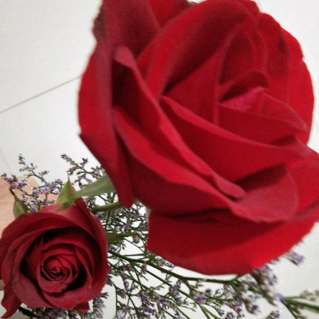 花花姐