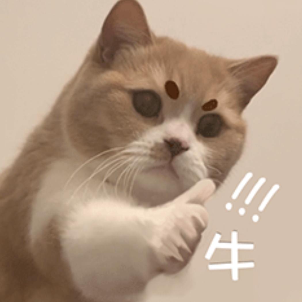 抒情短剧