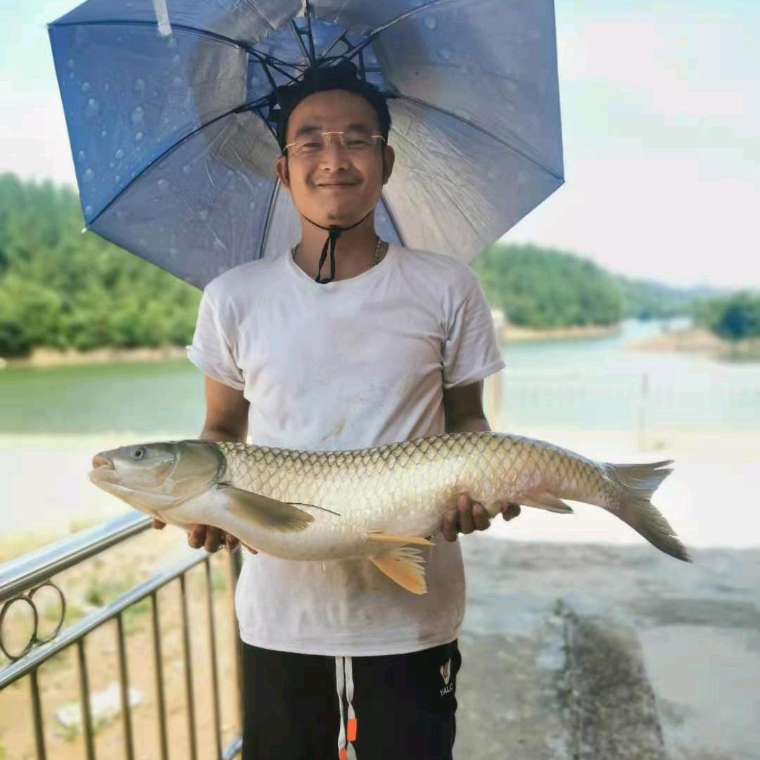 江夏堂…渔飞