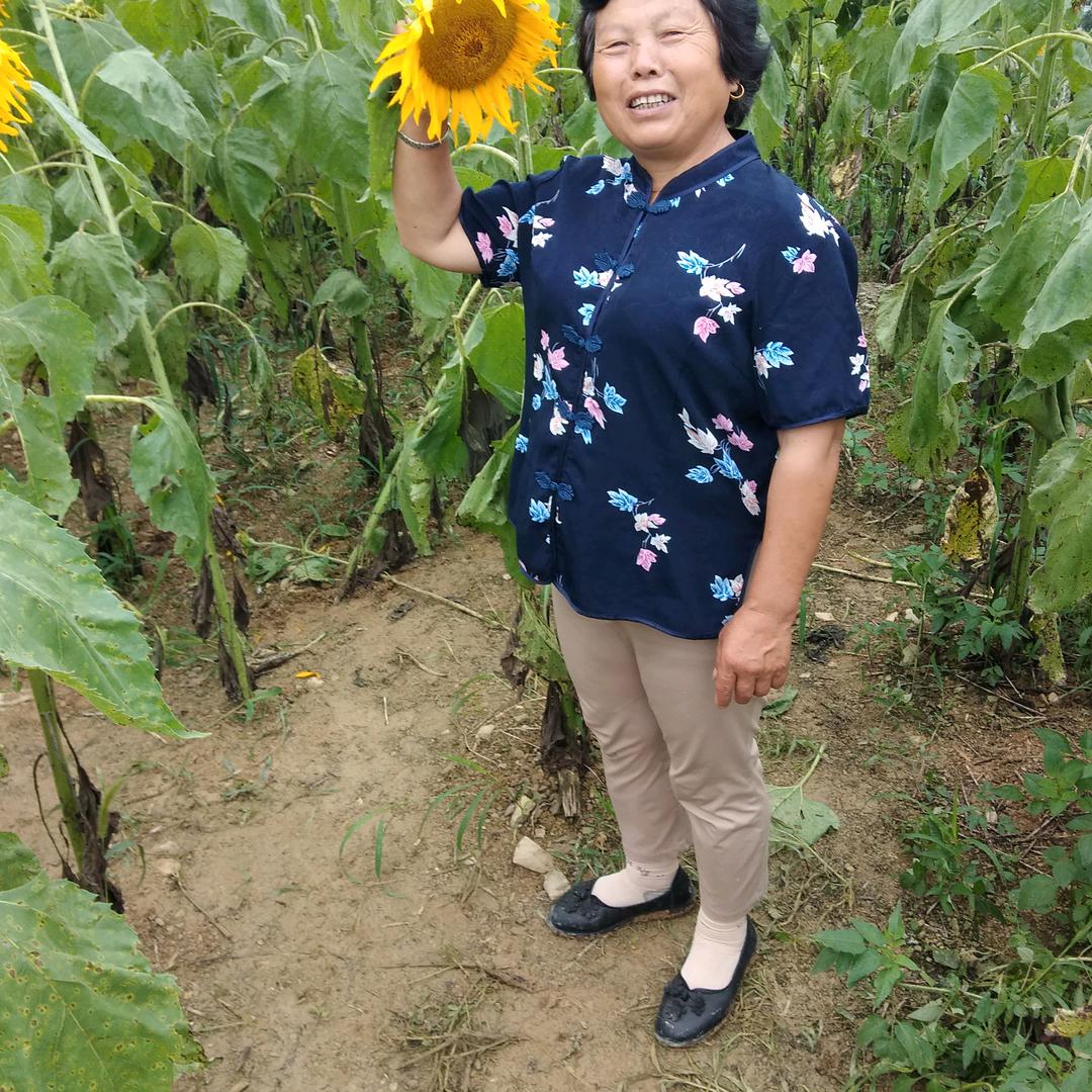 何老三