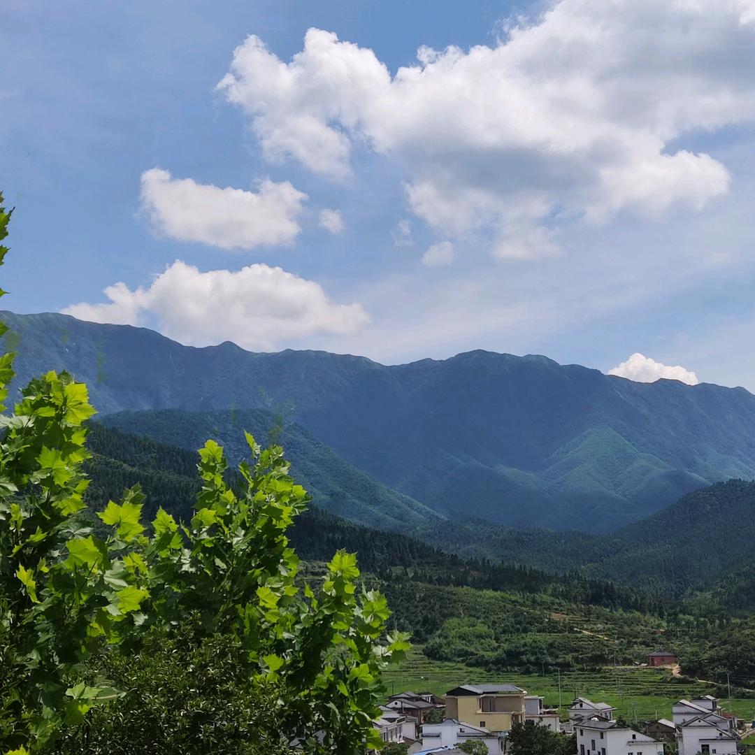 小骄傲ɑː