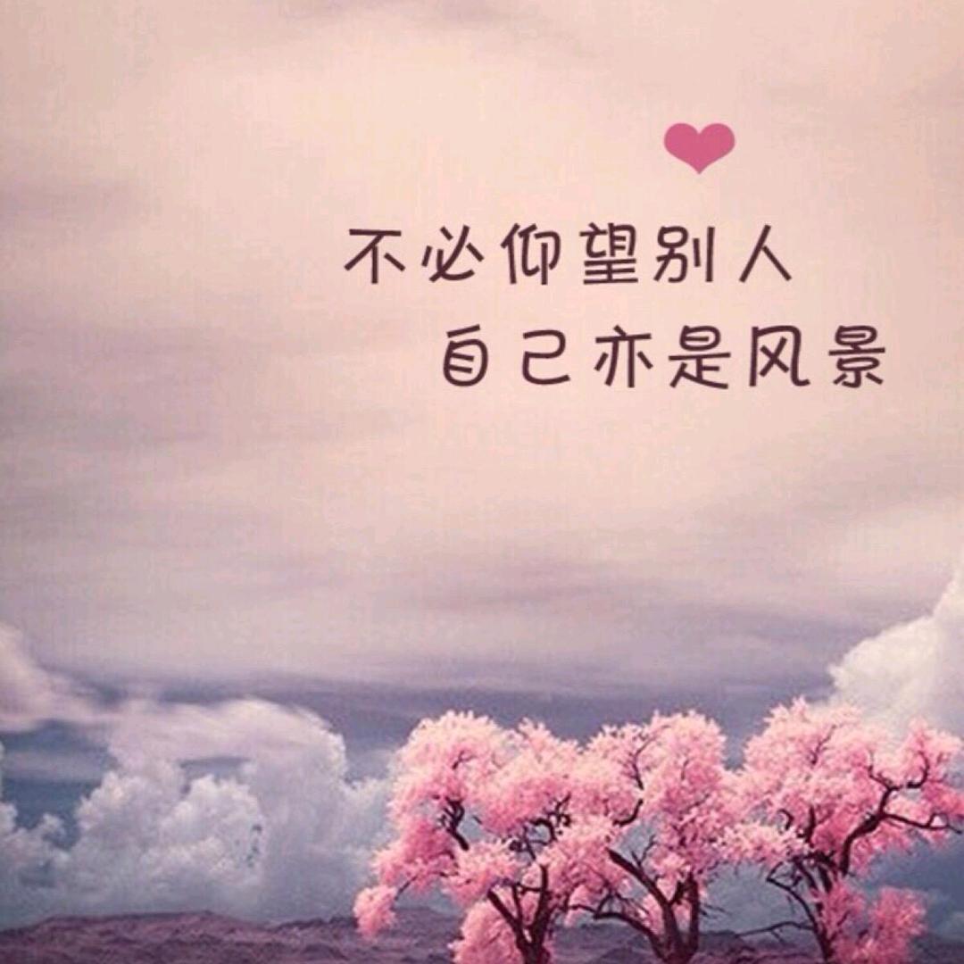 来自东拼西凑的自愈🤣