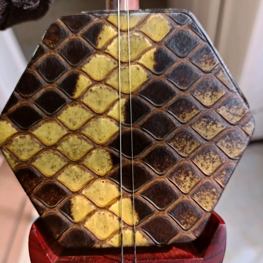 郯城县华音乐器厂