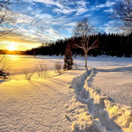 雪落夏至