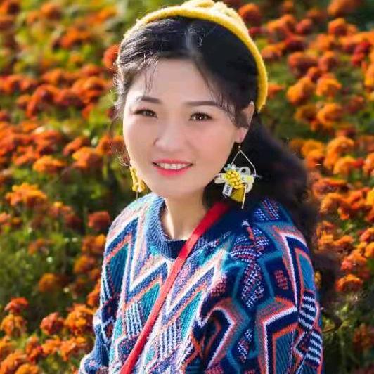 陪你浪迹天涯