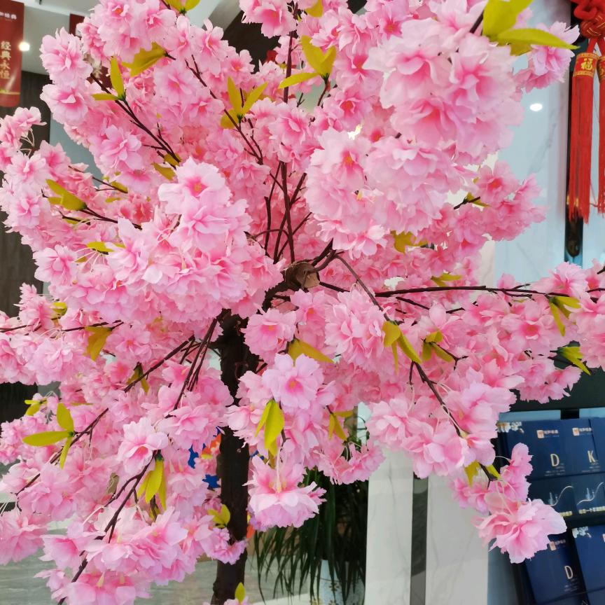 红红火火🌹🌹🌹